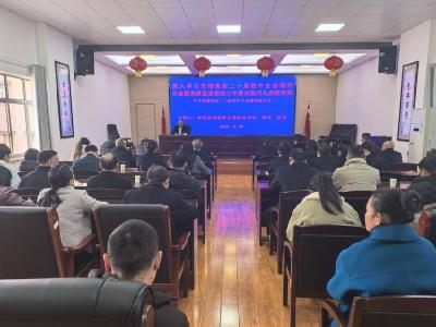 以金融高质量发展助力中国式现代化赤壁实践 赤壁金融监管支局学习贯彻党的二十届四中全会精神