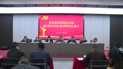 市委第四巡察组向市国投（城发）集团党委反馈巡察意见