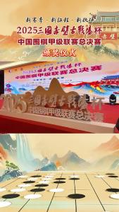 中国围棋甲级联赛总决赛颁奖仪式在赤壁举行