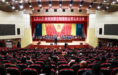 【两会动态】市政协十届五次会议举行选举大会