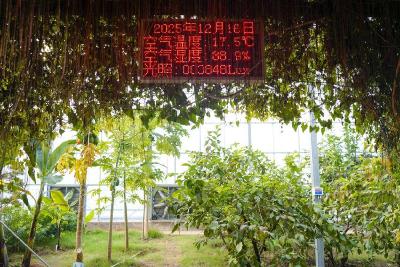 赤壁：建强现代农业产业园 夯实乡村振兴“硬支撑”