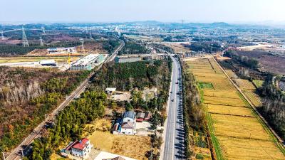 湖北赤壁：冬日田野焕彩 漫山斑斓入画 