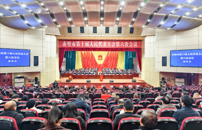 【两会动态】市十届人大六次会议举行选举大会