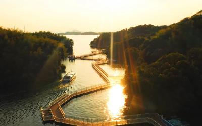 咸宁赤壁：碧波荡漾照岸景 飞鸟云集舞翩跹