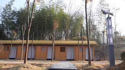 新春走基层｜张司边村：“森林＋药浴”打造康养新体验 绿色发展赋能乡村振兴