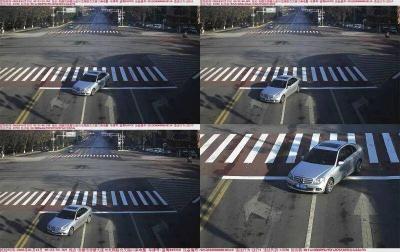 曝光台⑤：文明出行不逆行！赤壁市曝光一批逆行行为