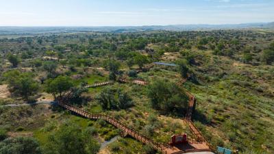 习近平总书记关切事·嘱托｜生态守护者的绿色画卷