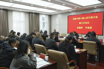 【两会动态】董方平 彭光平等市领导继续参加市十届人大六次会议分组审议