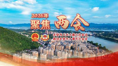 聚焦赤壁两会
