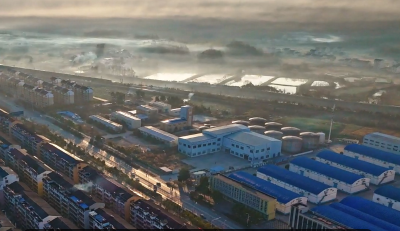 湖北赤壁：晨雾轻遮半城面 晴光初透树头纱