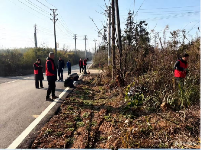 茶庵岭镇八王庙村做好“清洁家园”百日攻坚行动