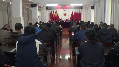 中伙铺镇：奋力建设低空新城和现代科技农业试验区