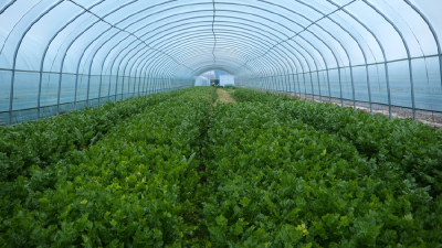 贯彻落实“新春第一会”精神｜策马扬鞭启新程 镇村聚力促振兴