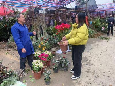 苗木市集便民购 春意盎然扮家园