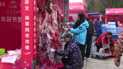 赤壁市第五届年货节开幕