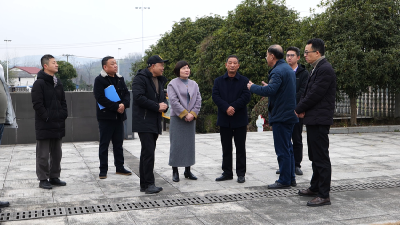 省文物局来赤壁开展文物安全检查