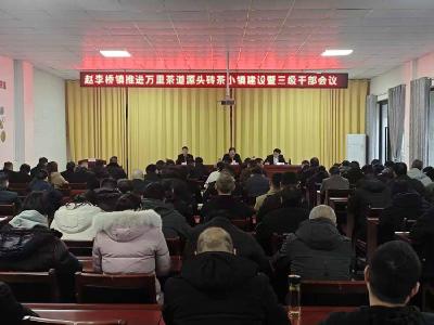 聚力打造特色砖茶小镇 赵李桥镇部署2026年工作