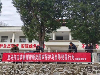 守护生物多样性 赤壁官塘驿林场启动野生动物保护专项行动