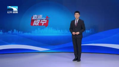 2026年1月3日【直通咸宁】全球旅行商打卡“赤黄红”：开启荆风楚韵文旅主轴的深度体验之旅