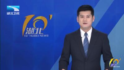 2026年2月25日【湖北十分】骐骥奔腾跃新春｜境外游客游荆楚寻年味