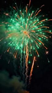 新年伊始 贺新岁