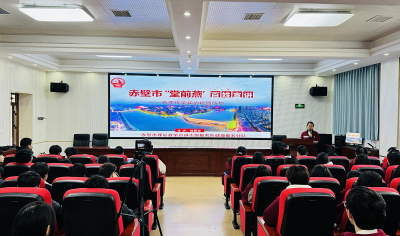 赤壁市疾控中心开展春季传染病防控专题培训