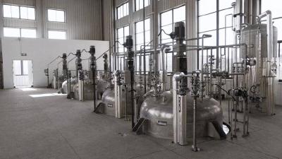 贯彻落实“新春第一会”精神 | 锚定目标勇攻坚 凝心聚力促发展