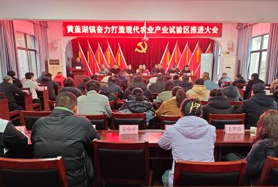 黄盖湖镇全力推进现代农业产业试验区建设