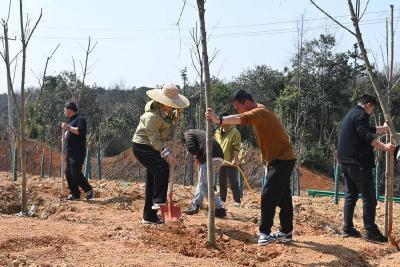 市两山投资公司：与青山签约 做“绿色合伙人” 党员干部共植“同心林”