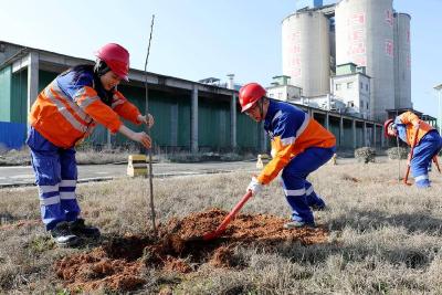 播种绿色希望 共建生态家园 华新水泥（赤壁）有限公司组织义务植树活动