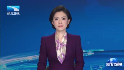 2026年3月14日【湖北新闻】代表委员回基层 