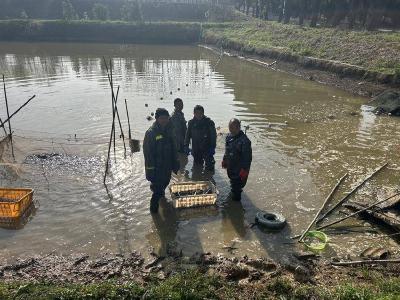 春季鱼苗销售旺