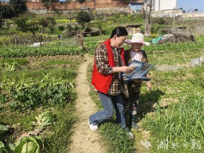 深入田间地头 开展禁种踏查宣传