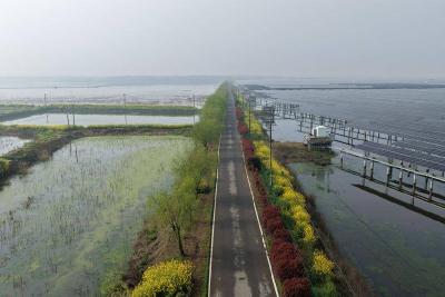 春天里·共赴春约 | 沧湖绿道春光好 骑行踏青正当时