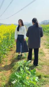 300亩梯田油菜花盛开，层层金黄铺就春日画卷