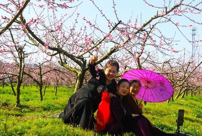 春天里·共赴春约 | 就在本周六！茶庵喊你来赏花、看戏、逛市集……