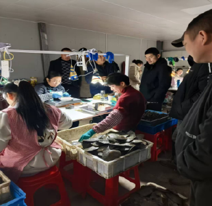 实地探岗促就业 家门口增收暖民心