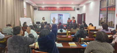 蒲圻街道开展妇女权益保障专题普法宣传活动