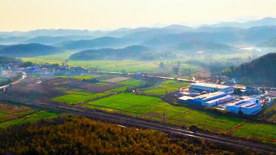 春天里·共赴春约 | 赤壁：金黄花海漫乡野 烟火藏韵醉人心