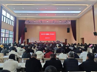 全市卫生健康工作会召开