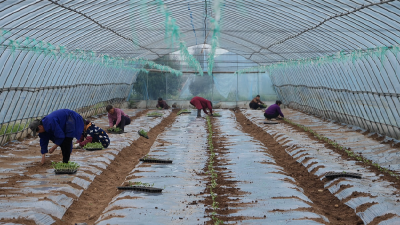 黄盖湖镇：抢抓农时备春耕