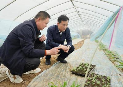 彭光平到赤壁镇调研 推动农文旅深度融合 奋力打造三国文化旅游名镇