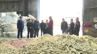 市领导督导检查企业安全生产工作