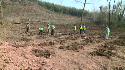 官塘驿林场：植树节添绿丁母山