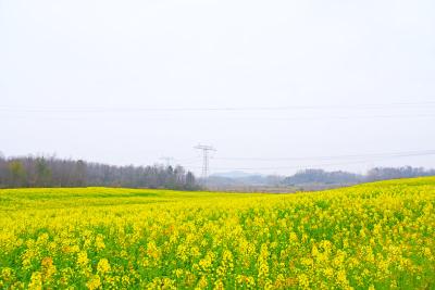 春天里·万象“耕”新 | 春耕正当时！遇见赤壁向上生长的力量