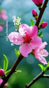 惊蛰启新章，不负好春光