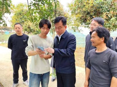 彭光平调研中伙铺镇农业产业发展 破解制约发展瓶颈 全力推进农业现代化提质增效