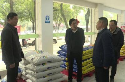 叶文华调研春耕备耕工作