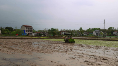 春天里·万象“耕”新 | 赤壁：北斗导航“显身手” 精准插秧效率高