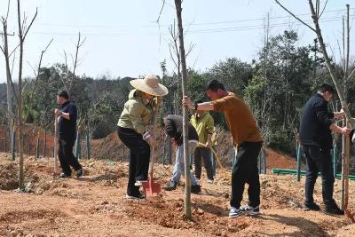 文明祭祀，平安清明！